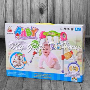 Baby Fitness Toy