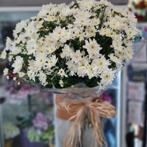 A bunch of 20 white chrysanthemums wrapped in clear cellophane